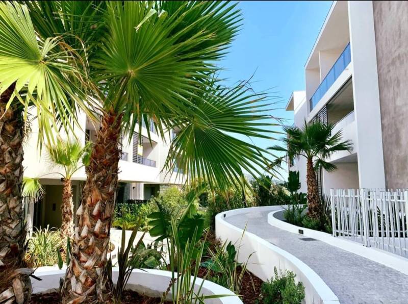 Pose de faux plafond dans la résidence Palm Horizon à Cannes